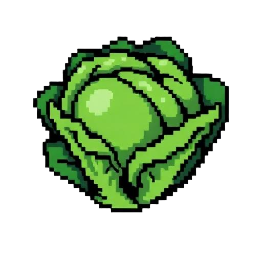 Lettuce in the bed